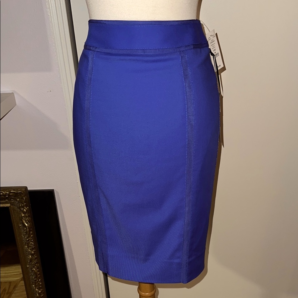 NWT WHBM Elegant Blue Women's Skirt